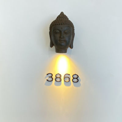 Işıklı Paslanmaz Çelik 304 Metal Adres İşaretleri Vidalı Montaj